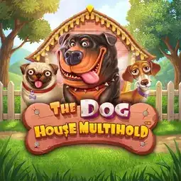 The Dog House Multihold game at Ozwin Casino for Australian players The Dog House Multihold game at Ozwin Casino for Australian players